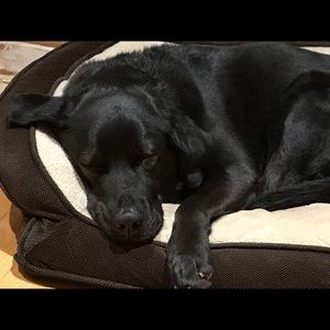 Meet your Posher, Kris